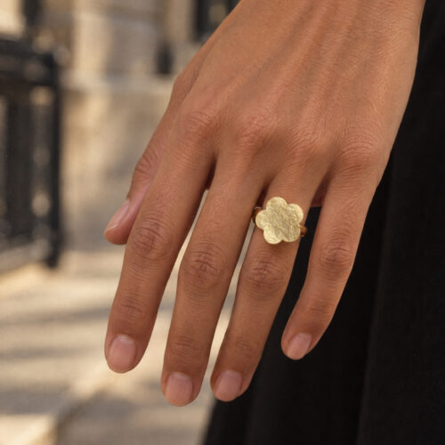 Ring RAn00125-DM