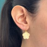 Pendientes RPe00401-DM