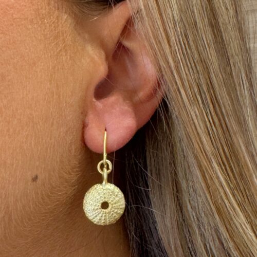 Pendientes RPe00178-DM