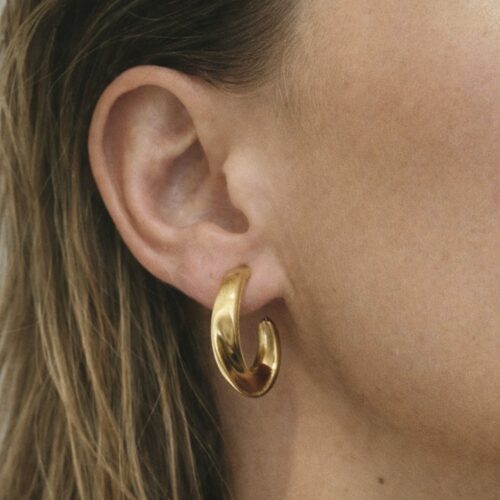 Earrings RPe00458-DM