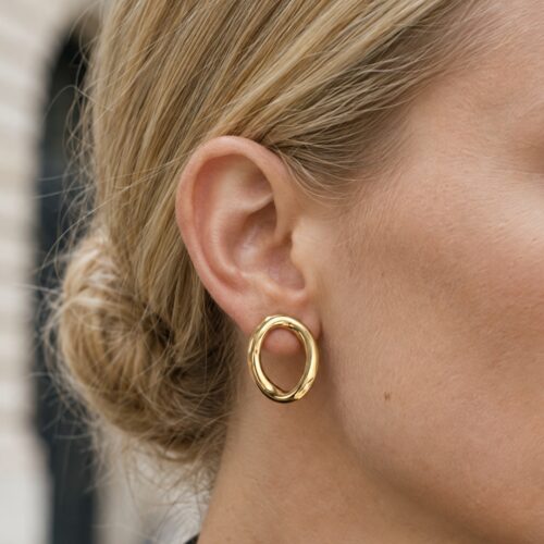 Earrings RPe00509-DB